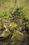 Brook in springtime forest, with rocks and boulders, Valley Falls Park, Vernon, Connecticut.