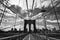 Brooklyn bridge, black and white