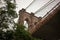 Brooklyn Bridge Elegance - New York City Icon