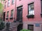 Brooklyn brownstones