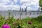 Brooklyn over East River seen from Manhattan side. Pink roses above the city landscape