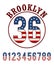 Brooklyn Set Number Flag American