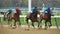 Brooklyn Strong, Eagle Orb & Breadman in the Sleepy Hollow Stakes