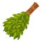 Broom from birch twigs, branches for Russian steam bath, sauna, washhouse.