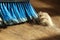 Broom, Dust & Fur Ball on Parquet Floor