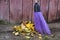 Broom with a wooden handle a purple brush stands next to autumn dead leaves of fruit trees near by wall of brown boards