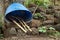 The brooms in a barrel ready to clean in the park