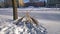 Broomsticks stand together in the snow