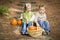 Brother and Sister Children Sitting on Wood Steps with Pumpkins