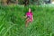 The brother and sister run through the tall grass