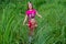 The brother and sister run through the tall grass