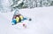 Brother and sister slide down together from snow slope in forest. Winter activities concept image