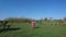 Brother & sister walking in park