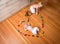 Brothers Encircled by a Heart Made from Wooden Trains and Vehicles.