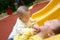 Brothers on the playground slide