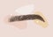 Brow master logo. Elegant female eyebrows shape. Permanent make-up and microblading. Linear vector Illustration in