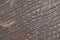 Brown abstract background from natural wood closeup.