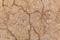 Brown adobe clay wall texture background.