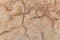 Brown adobe clay wall texture background.