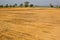 Brown agricultural soil of a field