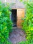 brown ajar wooden door in green foliage