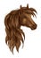 Brown arabian horse head isolated sketch