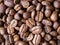 brown arabica coffee bean roast level medium taste delicate lively bright seed caffeine espresso drink food cafe beverage Chiang