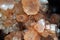 Brown aragonite texture