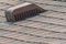 Brown asphalt shingled roof and roff vent