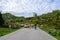 Brown Asturian cows, herd of cows is carried to new pasture on mountain road, Picos de Europe, Los Arenas, Asturias, Spain