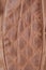 Brown background of leather texture stitched stitch