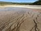 Brown bacterial mats near Grand Prismatic Spring in Yellowstone National Park