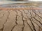 Brown bacterial mats near Grand Prismatic Spring in Yellowstone National Park