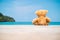 Brown bear doll sit on wooden floor at the sea