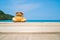 Brown bear doll sit on wooden floor at the sea