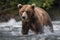 Brown Bear Fishing For Salmon In A Rushing River. Generative AI