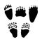 Brown Bear Footprint
