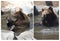 Brown bear, funny, collage