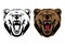 brown bear head pictures