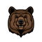 Brown bear head, animal mascot