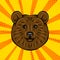 Brown bear portrait wild animal. Vector illustration on comic