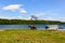 Brown bear Ursus arctos beringianus walking near Kurile Lake against the background of the volcano Ilyinsky . Kamchatka