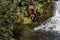 Brown bear walking down the bank of the Brooks River, next to Brooks Falls, looking for salmon, Katmai National Park, Alaska, USA