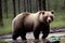 A brown bear walking in the water near a forest.