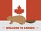 Brown beaver animal character mammal on canada red white flag background canadian vector illustration