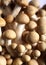 Brown beech mushroom macro
