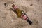 Brown beer bottle of Portuguese beer on the beach.