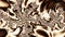 Brown and beige fractal silk pattern