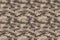 Brown beige military color seamless print pattern. Army clothing. Vector illustration.