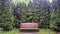 Brown benches on the alley of the coniferous park